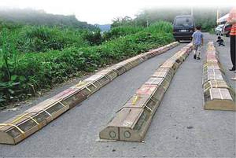 台灣鳥類「放生」對生態的衝擊