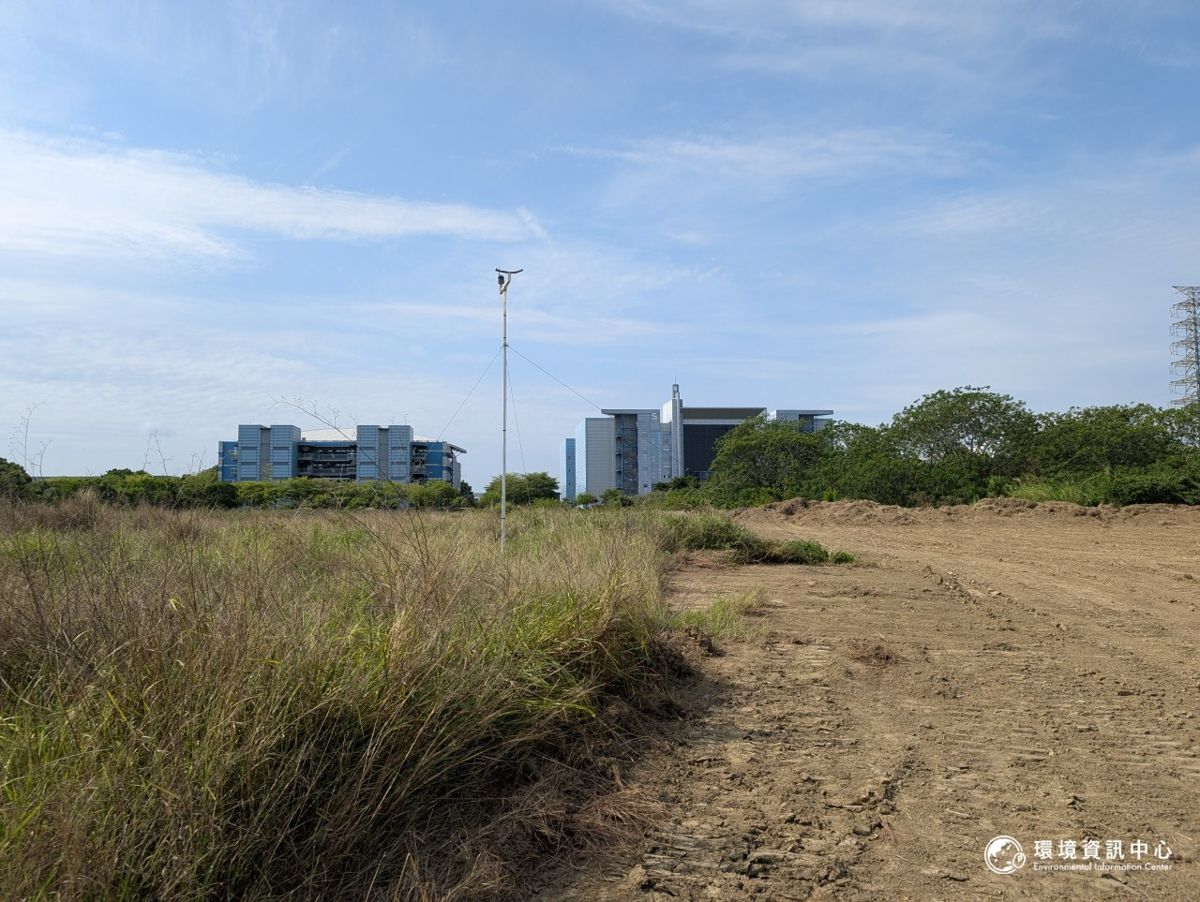 20260629-南科沙崙案專題-稿5-橋頭科 路竹科 草鴞-H攝5