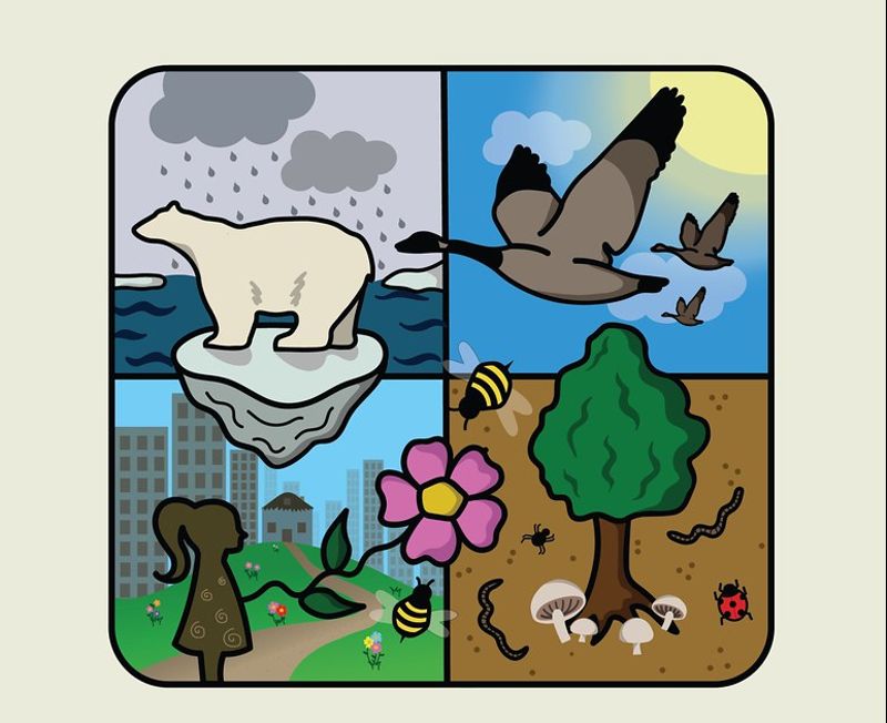2020國際生物多樣性日：大自然是我們的解決方案