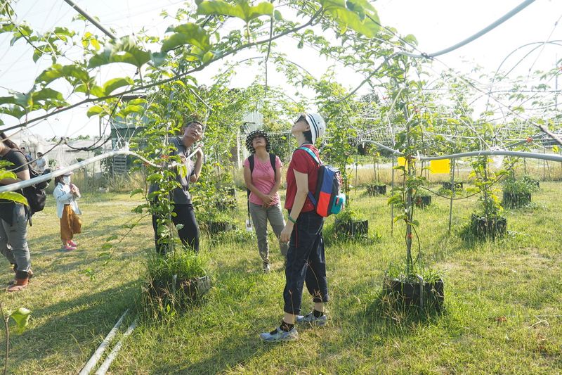 不讓科學園區再搶良田 立委、民間合推《有機農業促進法》 修法