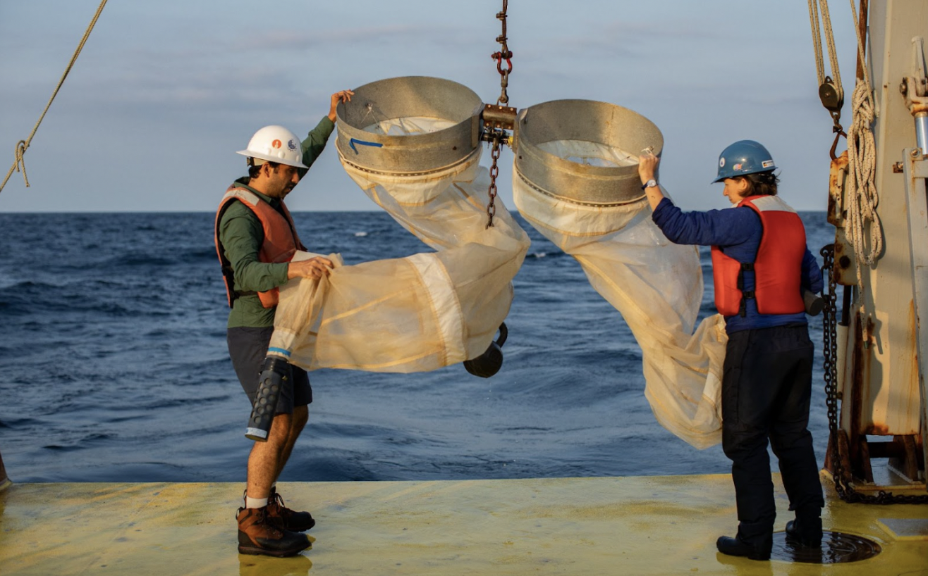 伍茲霍爾海洋研究團隊以浮游生物拖網採集樣本，以分析OAE生物的影響。圖片來源：Daniel Cojanu, Undercurrent Productions/伍茲霍爾海洋研究所