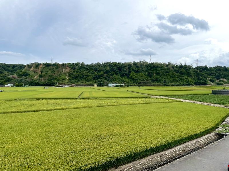 中研院政策建議書：農地總量回升優良農地反降 無助糧食安全