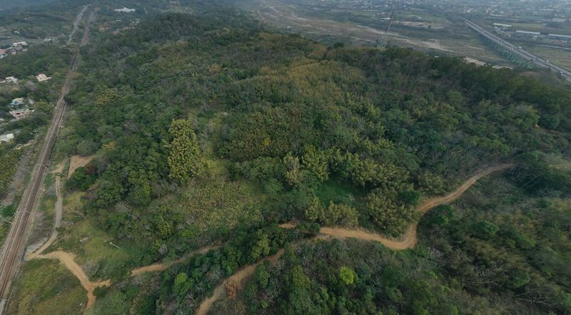 「竹森案」石虎棲地蓋光電 苗縣審查不公開 環團疾呼勿替淺山光電「開大門」