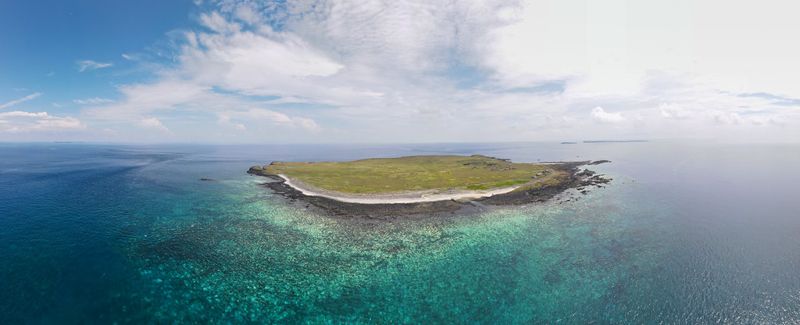 海洋「熱壓力」致2020年最大規模珊瑚白化 學者呼籲宣告氣候緊急