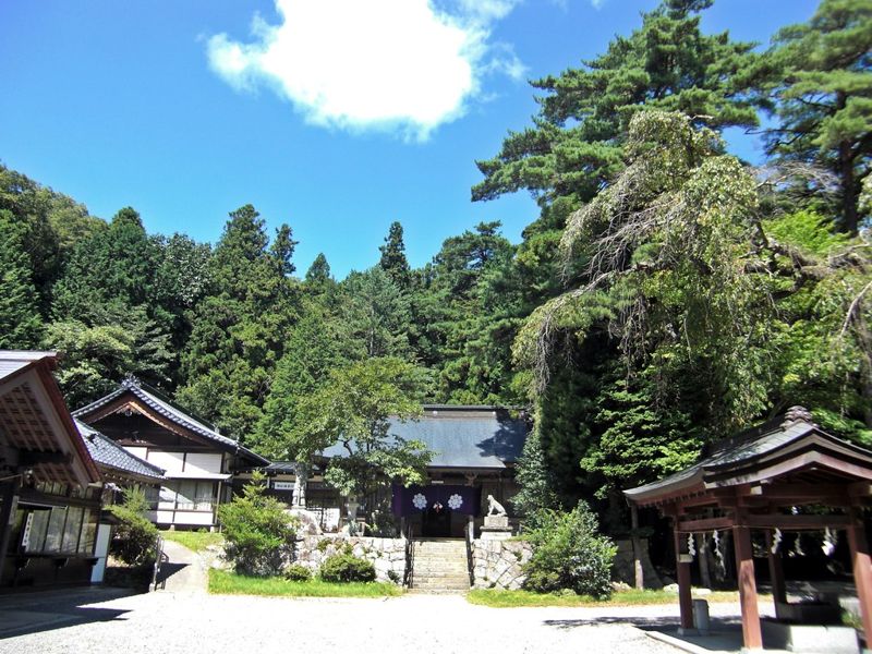 東奧聖火抵日 傳遞即將開跑 福島飯館村去污後輻射仍超標