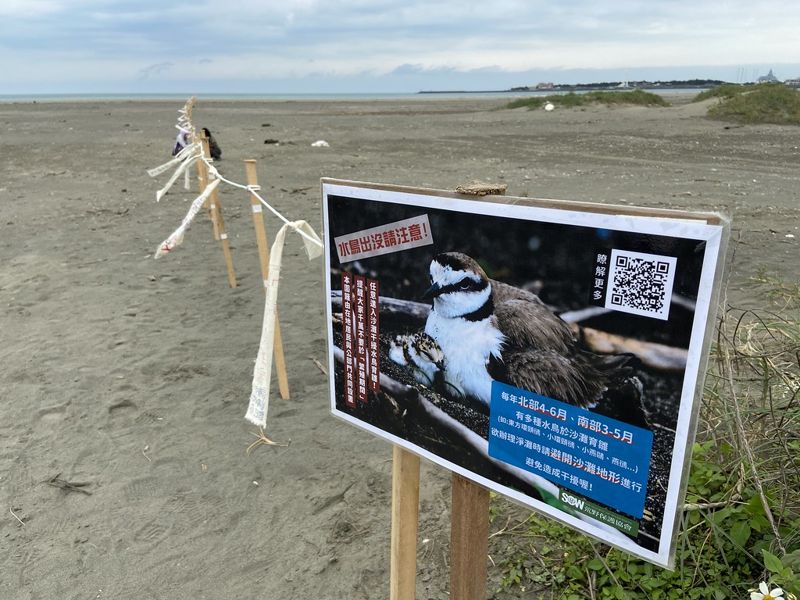 沙灘上水鳥出沒注意 米倉國小與荒野豎立護生圍籬 讓鳥媽媽安心育雛
