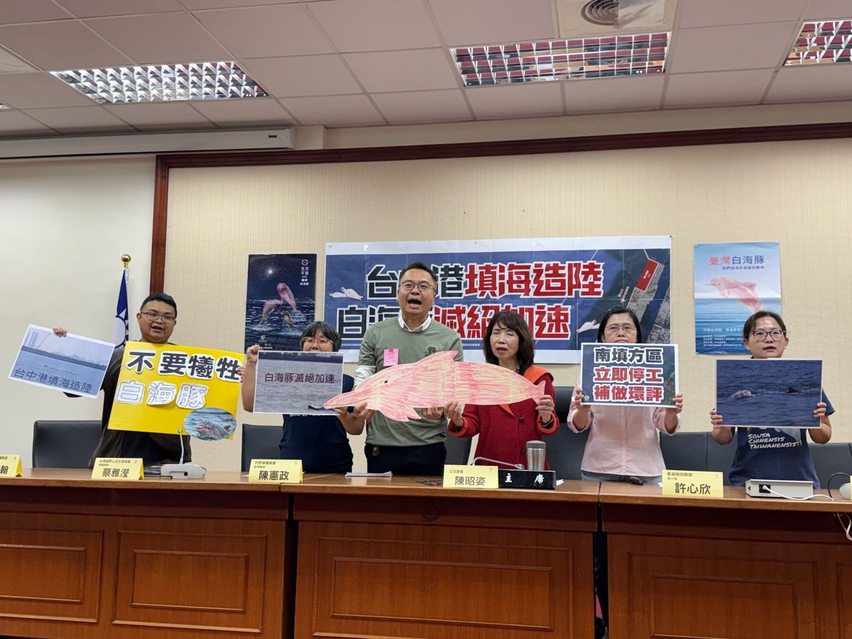 台中港填海造陸65公頃卻免環評 環團抗議毀白海豚棲地