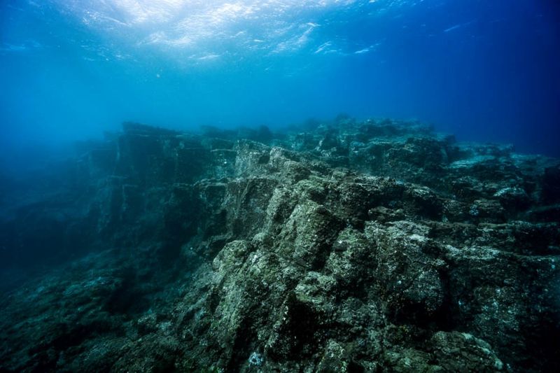 「藍碳」看漲 幾個你必須知道的海洋固碳方式