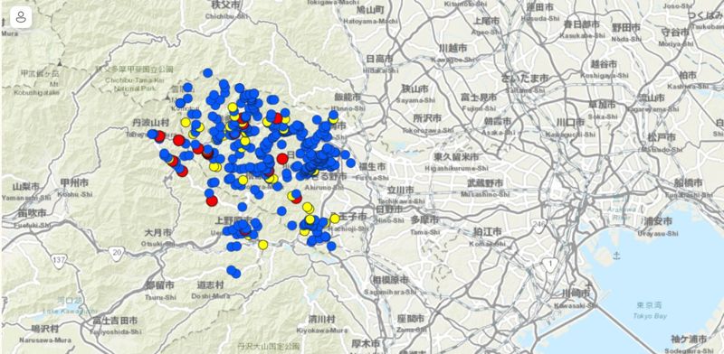 「禁殺黑熊」近20年 東京研議解禁與配套 最快2027年開放