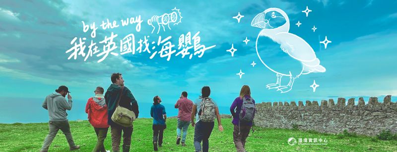 我在英國找海鸚