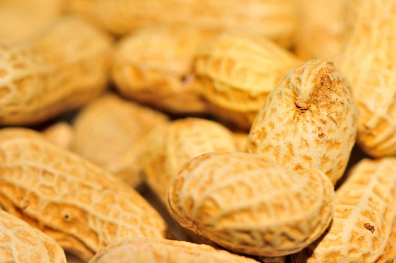 一「豆」一世界 窺見原鄉豆文化