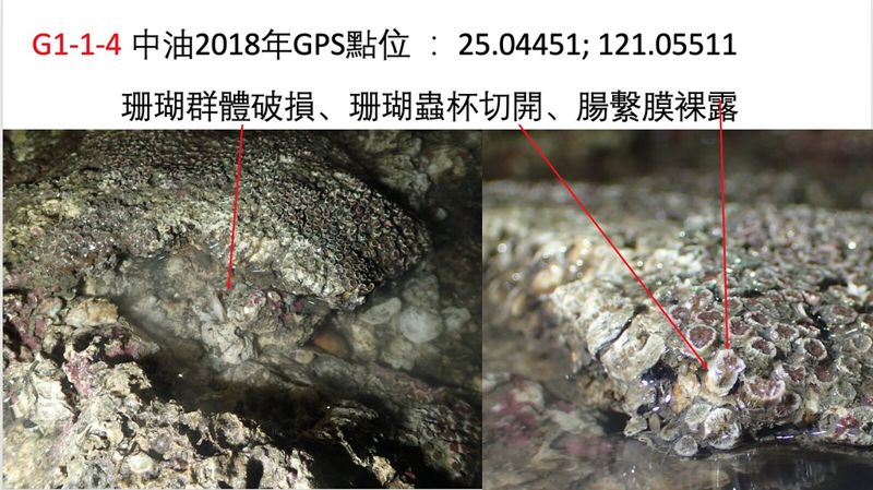 陳昭倫／凡撞過必留下痕跡：以船舶辨識系統重建中油三接東坪8號工作船撞擊大潭藻礁G1區擱淺現場