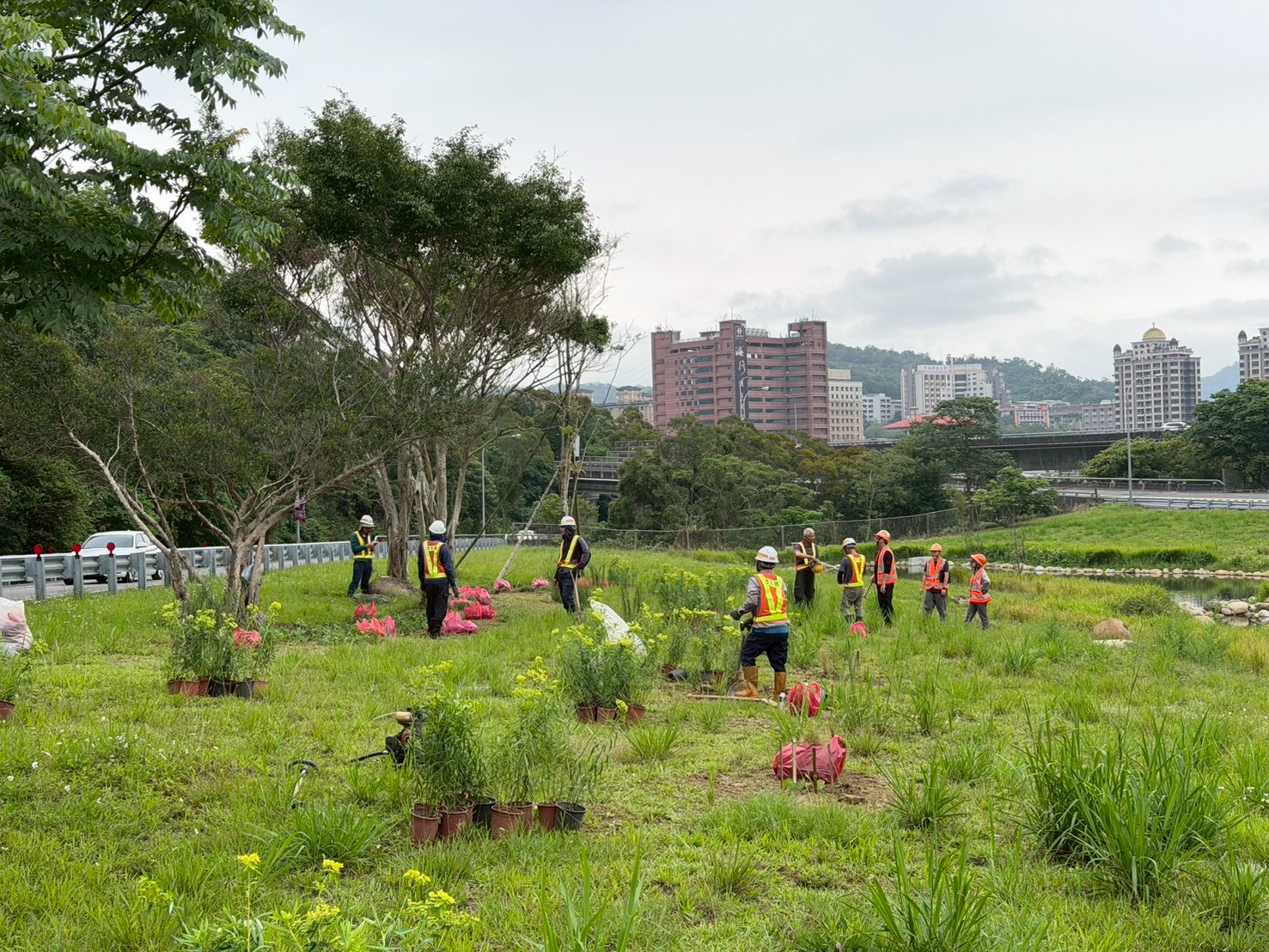 以百花草毯概念綠化木柵交流道綠化。圖片來源：嘉義大學景觀學系 提供