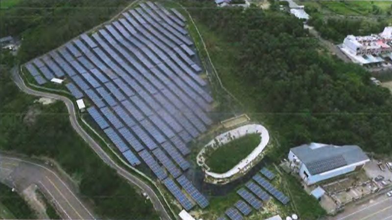 石虎棲地蓋光電逆轉過關 保育團體批苗縣審查「心態令人髮指」