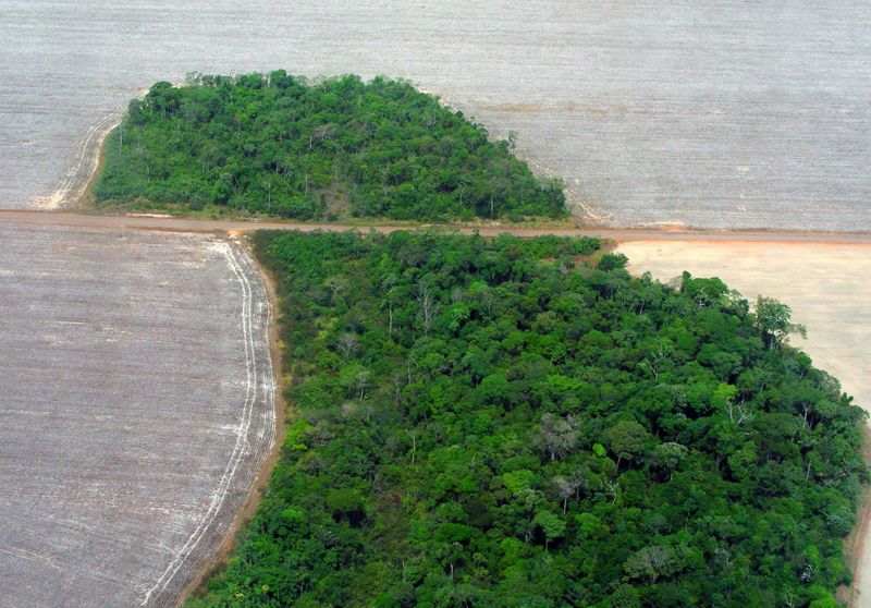 玻利維亞新建高速公路 將切穿亞馬遜雨林生物多樣性熱點