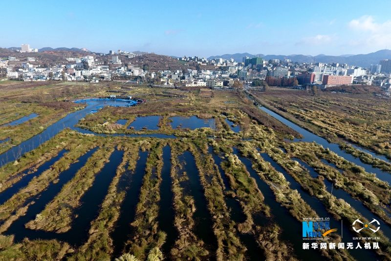 走過威寧草海到麗江老君山 「內生式」鄉村發展在萌芽