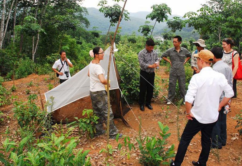 橡膠單一種植傷土地 西雙版納轉型中 確保水資源永續