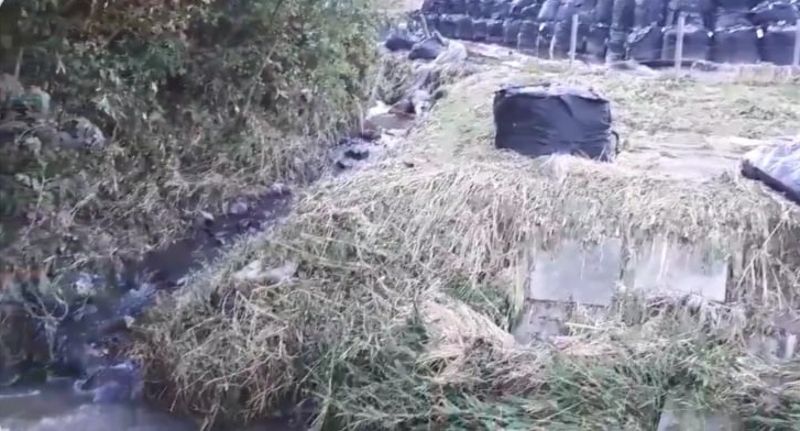 哈吉貝肆虐 福島輻射污染土吹入河川 但類案早已層出不窮