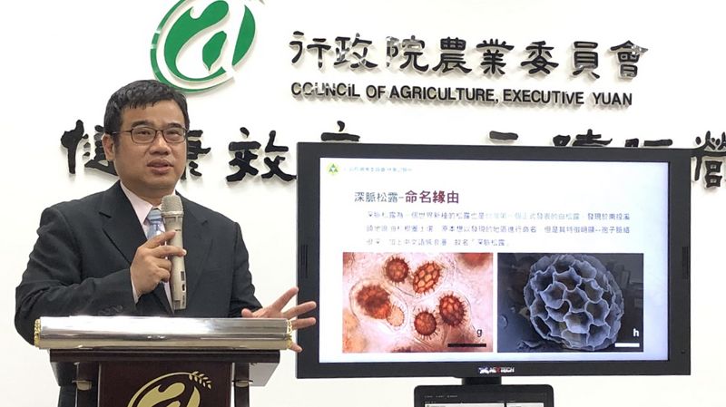 歷時5年調查 世界新種「深脈松露」發表 揭開台灣真菌多樣性珍寶