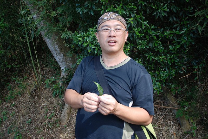 守護田鱉、灰面鵟鷹與石虎 李璟泓心中有個「龍貓森林」