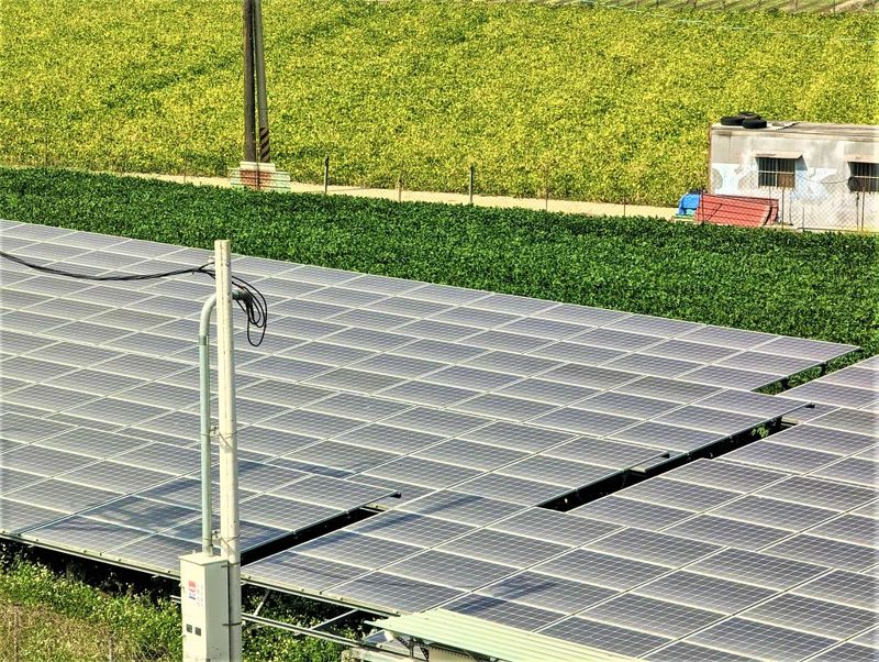 立委建議劃「農地種電專區」 王美花:暫無規劃、與農委會協調用地