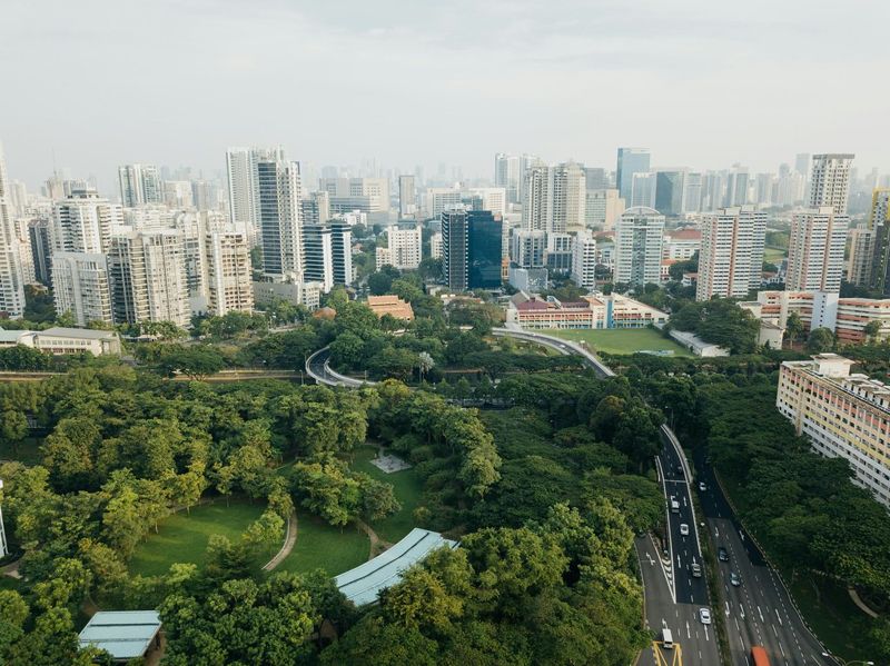 陳禹嫺／誠信至上：地方氣候行動反漂綠指南