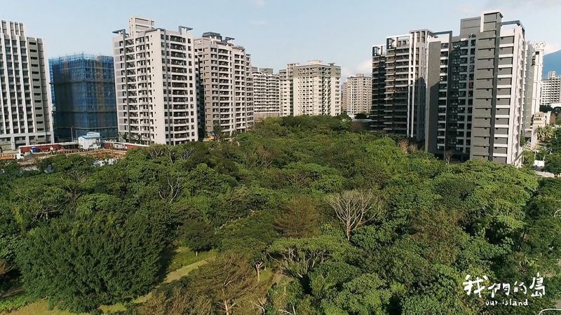 大樓蓋到公園裡？ 為什麼1000多位居民反對警消共構大樓進駐公七公園