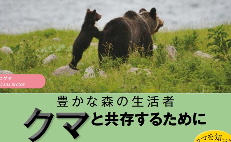 熊出沒注意！ 日本熊類攻擊人類概況與對策