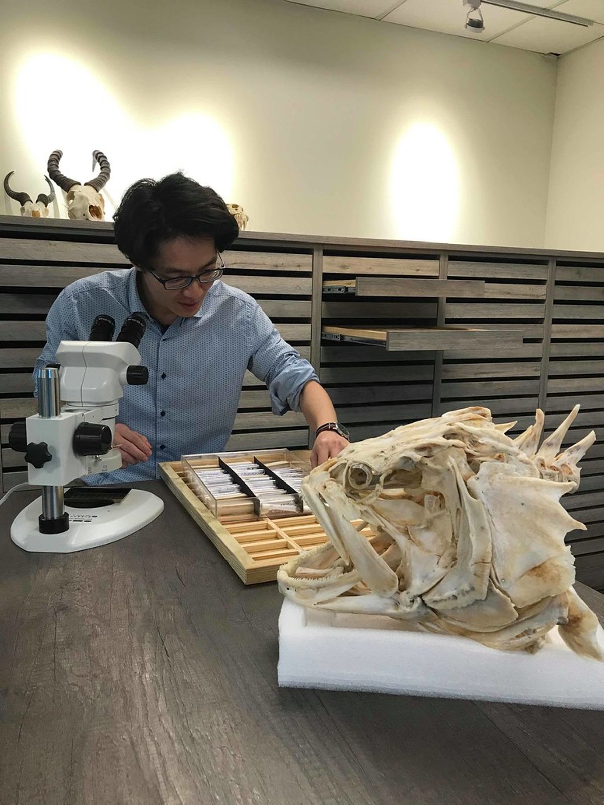 台灣海洋化石與魚類化石的研究、回顧與展望