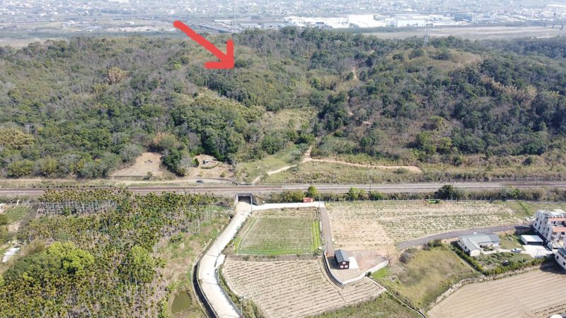 7.6公頃光電場闖銅鑼淺山 環團憂影響石虎棲地 縣府諾考量生態保育