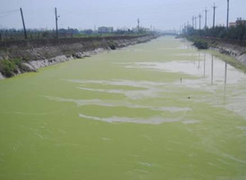 復育路遙遙，前程似錦？或「錢」程是「緊」？（中）