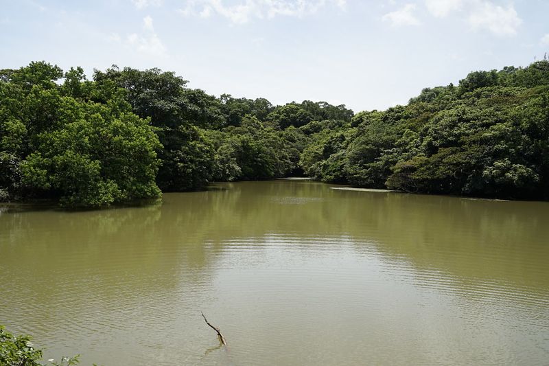 走入阿里磅 來場不一樣的濕地自然課