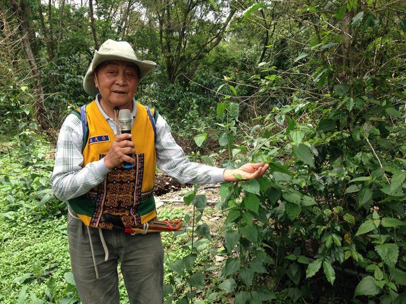 用「里山經濟」串起台24線的珍珠 部落產業重建有成
