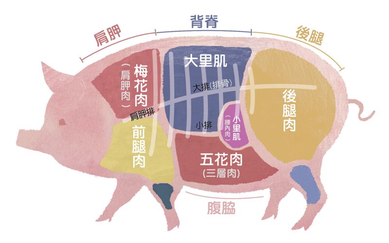 揭發全球食物浪費大醜聞 《浪費：全球糧食危機解密》