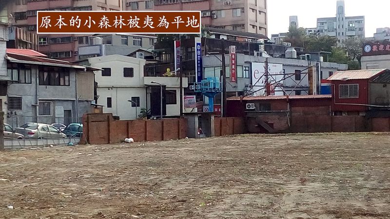 雷茲圖克：砍伐一座城市小森林，換一座水泥籃球場，值得嗎？