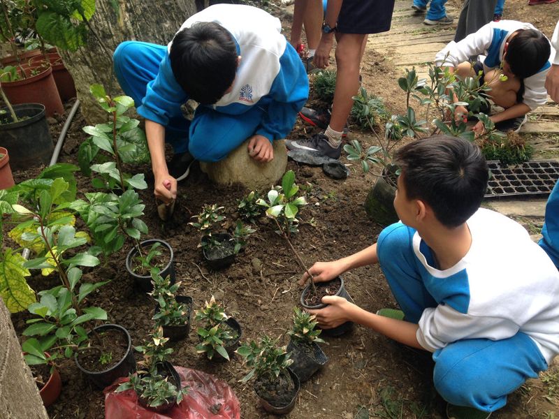 校園護樹就是最佳環境教育 民生國中做出典範
