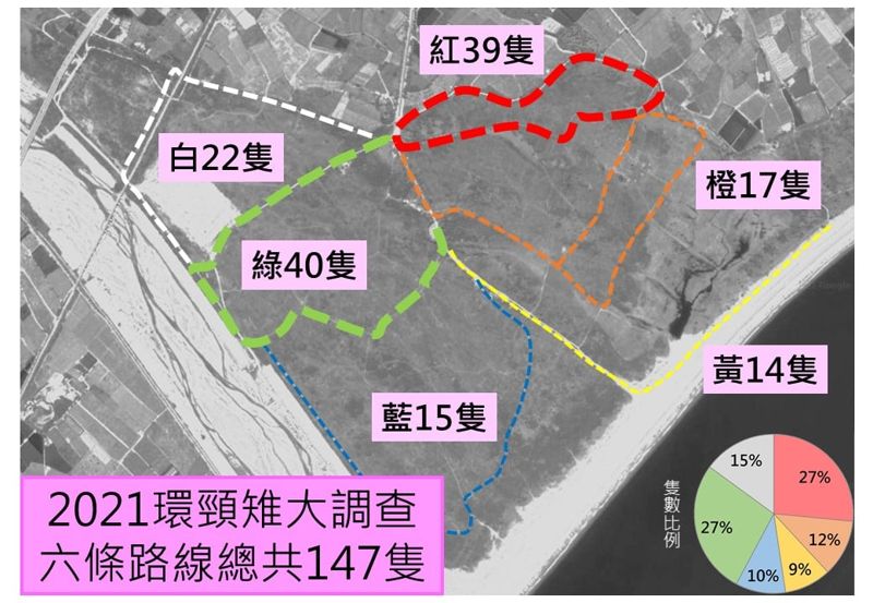 知本光電區環頸雉數量穩定 環團盼重選址