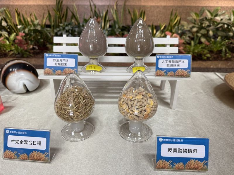 神奇海藻「海門冬」可減少牛羊99%甲烷排放 水試所首創人工量產技術