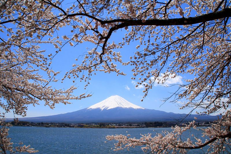 過度觀光讓富士山成「垃圾山」 2025登山季費用翻倍、限額還要考試