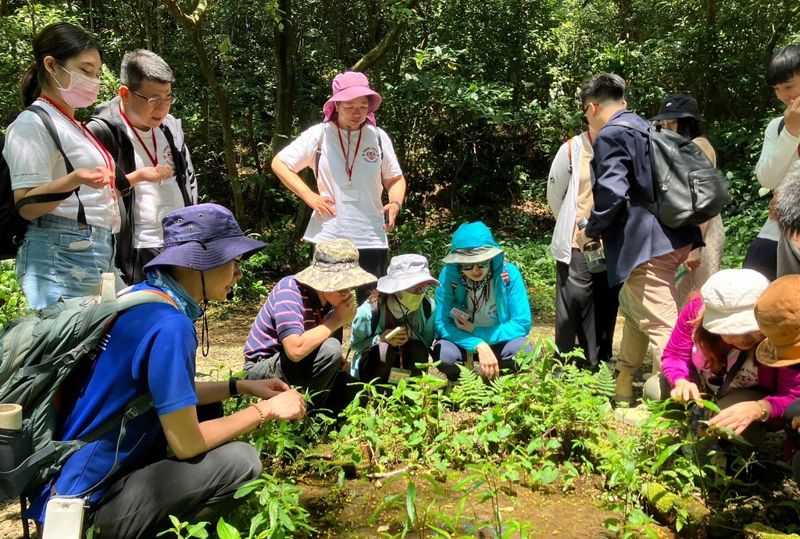 守護台北赤蛙棲地迎接繁殖季 富邦走入阿里磅維護淡水濕地