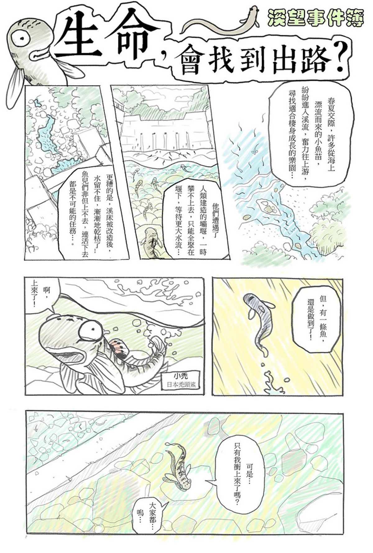 為溪流量身打造的漫畫 看見小魚小蝦求生術