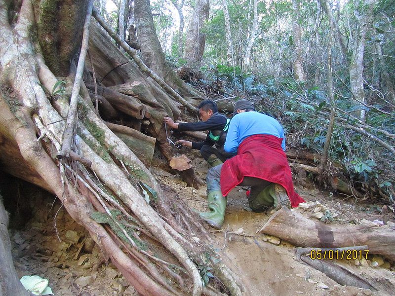 表揚優秀巡山員 扶輪社首度贊助獎金 創歷史新頁
