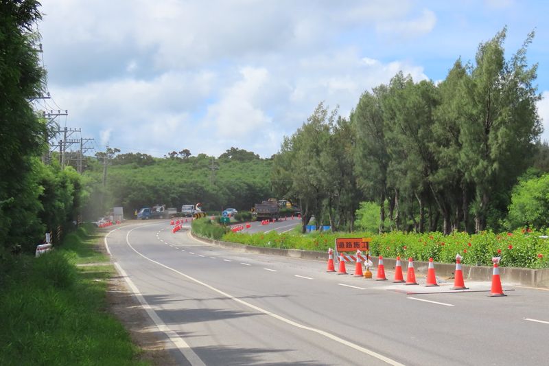 行道樹一修再修還是倒？ 「全國種樹諮詢中心」導正種樹亂象 屏鵝公路成首例