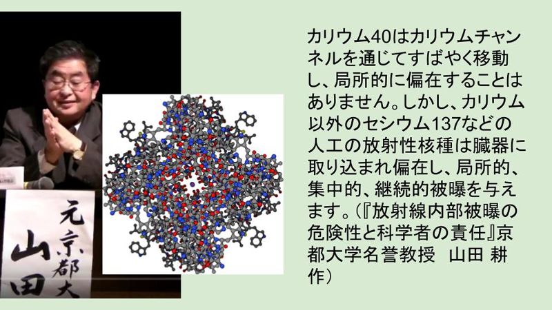 台日連線非核座談 聚焦台灣政府對核食的看法