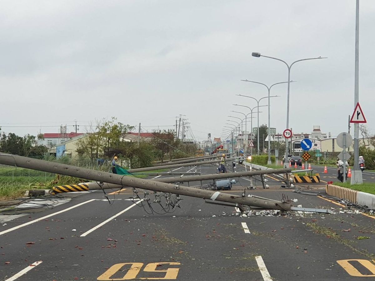 颱風吹倒電線桿 地下化會是電網韌性解方嗎?