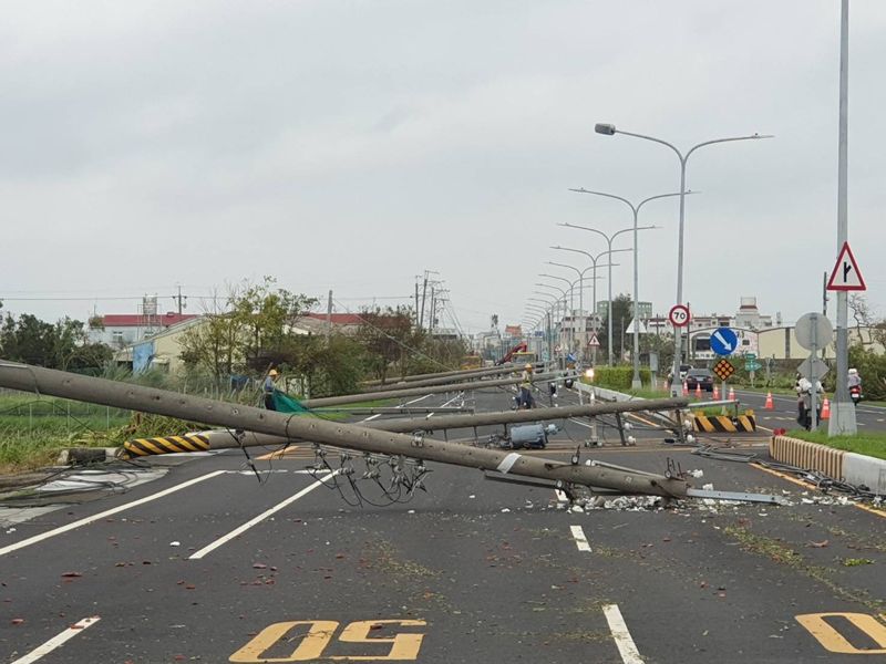 颱風吹倒電線桿 地下化會是電網韌性解方嗎？