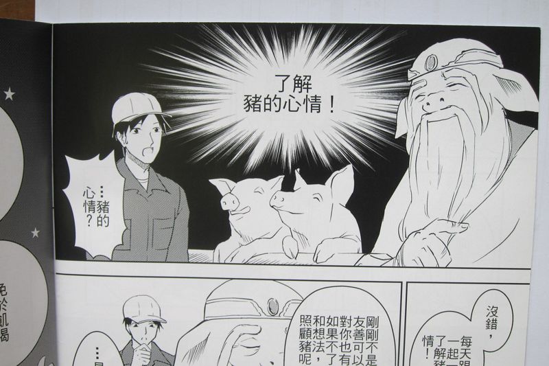 豬喜歡玩具也愛社交 台灣首本豬的動物福利漫畫獨立出版