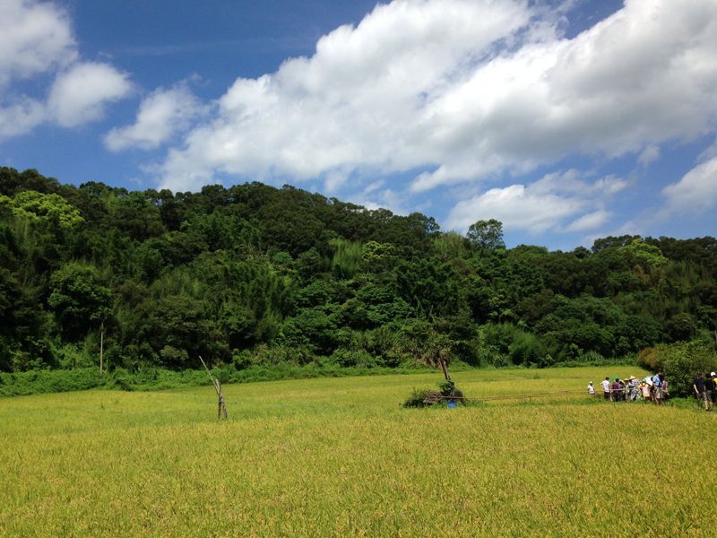 保證不受開發滋擾 日本「里山500選」替子孫存下自然資本