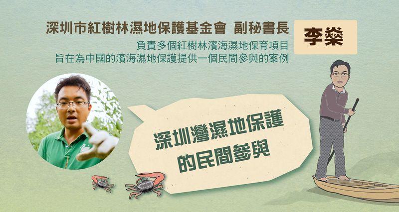 棲地保育的專業經理人 李燊投身深圳紅樹林濕地保育