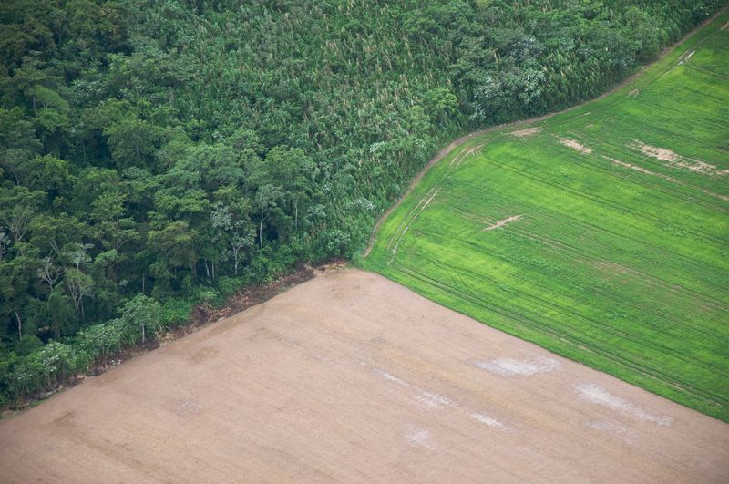 巴西亞馬遜雨林淪為排碳方 研究：10年間排碳比吸碳多20%